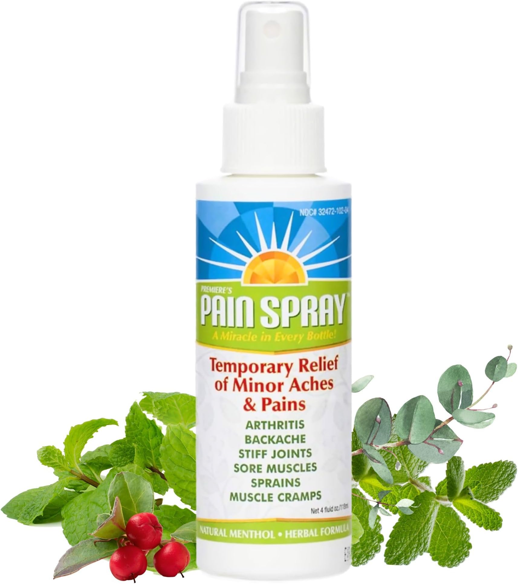 Pain Spray Mist