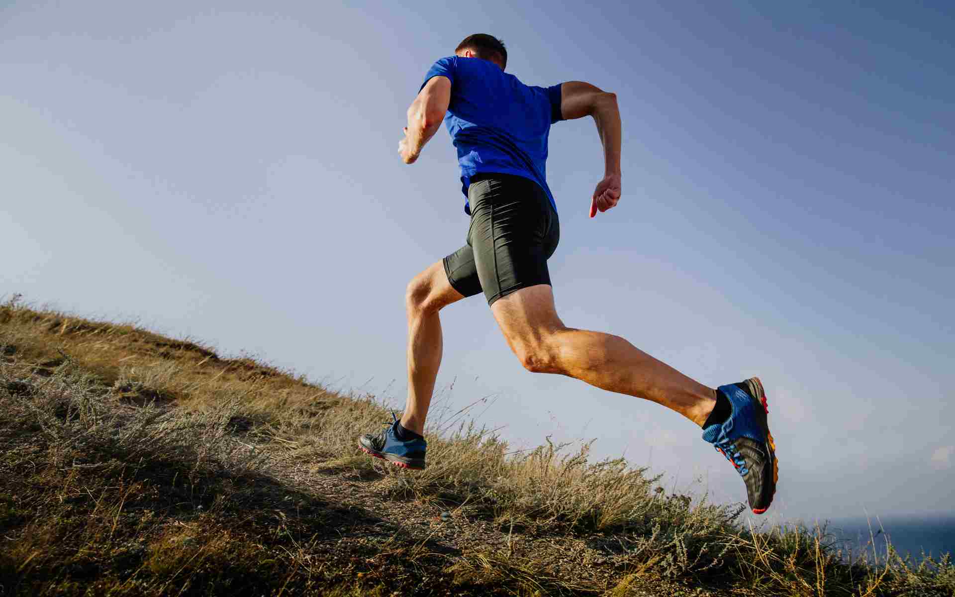 Premiere's Pain Spray Roll-On – Fast, Targeted, Cool Relief for Muscle & Joint Pain