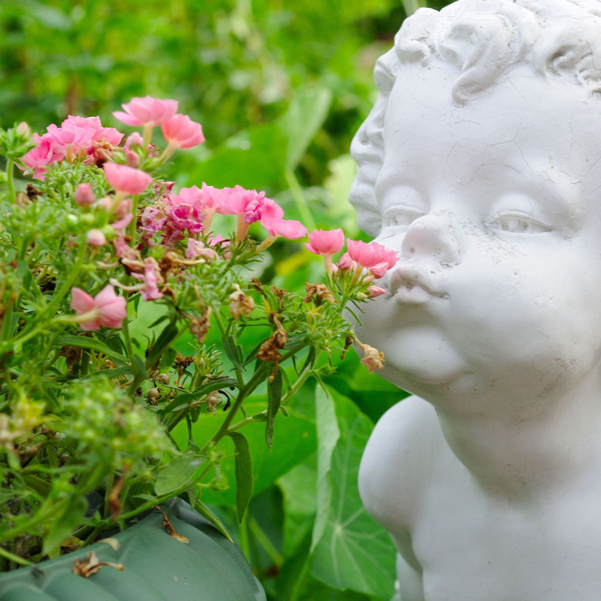 If You Can't Smell It, Is It FragranceFree? —