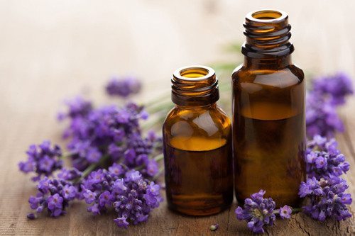 lavender essential oil which can relieve migraine pain