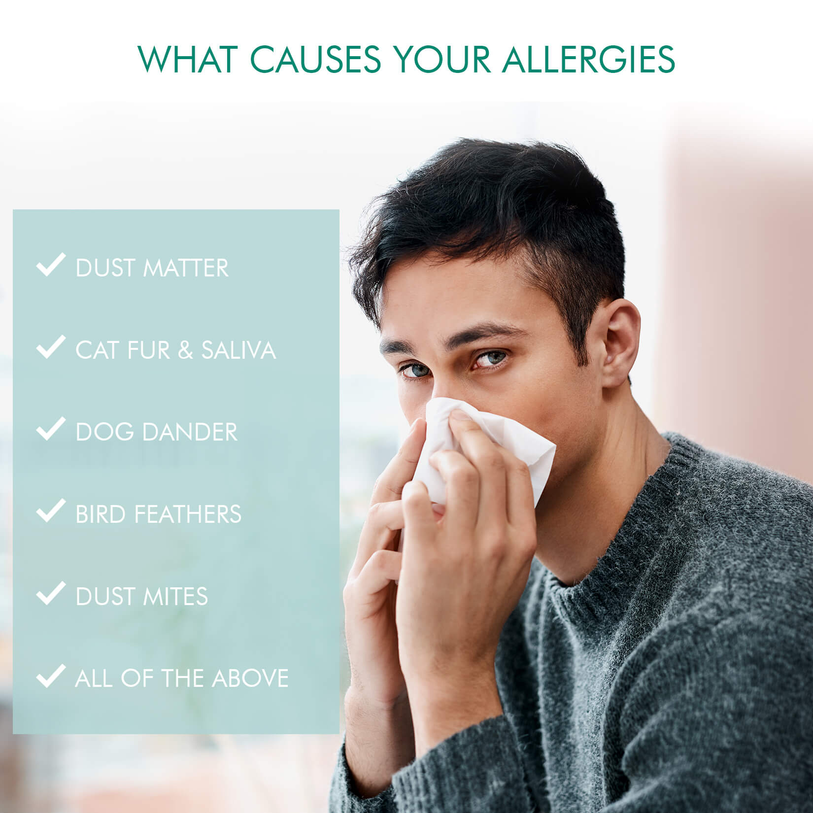 Can Natural Allergy Medicine Destroy Indoor Allergy Symptoms? — Amazing ...